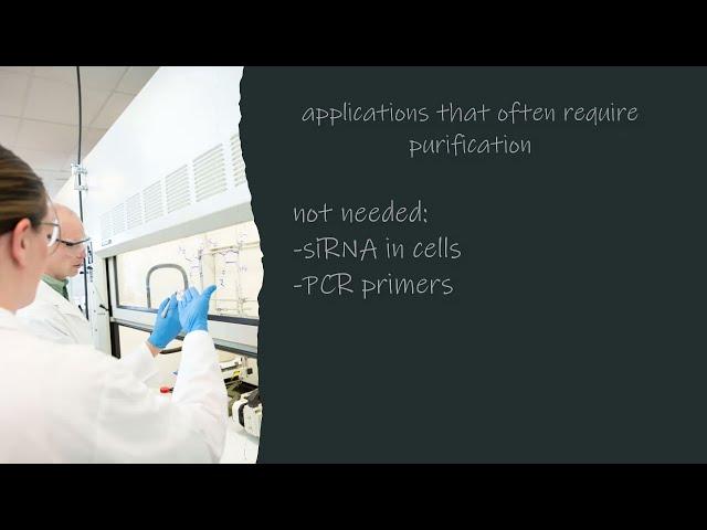 Considerations for oligonucleotide purification | Dharmacon™ Oligo Synthesis Tips | Episode 4