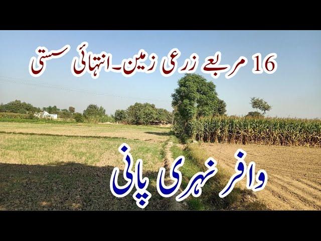 زرعی زمین برائے فروخت agricultural land for sale