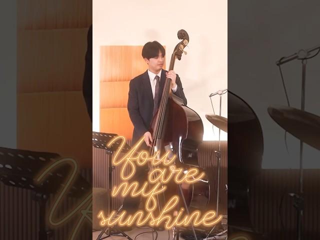 You are my sunshine | 코지재즈오피스(Cozy Jazz Office) | Live Clip | #jazzband  #공연문의#공연팀섭외