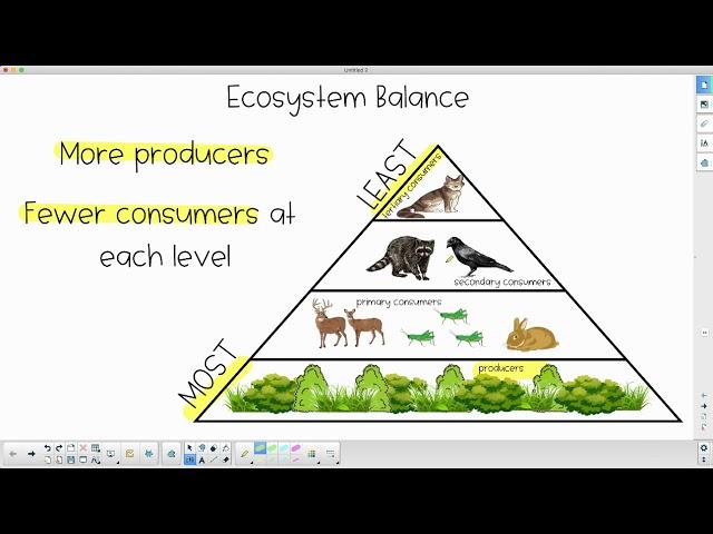 Ecosystem Balance