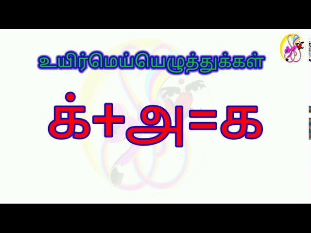 உயிர்மெய்யெழுத்துக்கள் க,ங,ச,ஞ,ட,ண,த,ந,ப,ம,ய,ர,ல,வ,ழ,ள,ற,ன