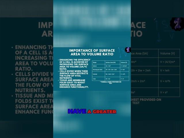 Unlocking the Secret: Maximizing Surface Area to Volume Ratio