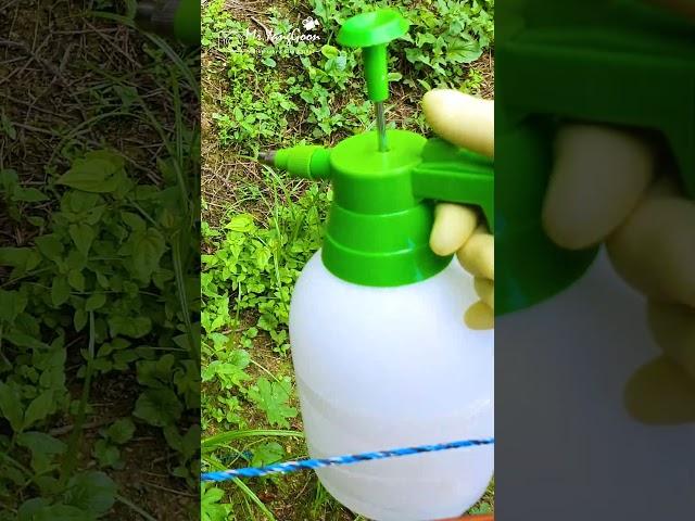 Making and using eco-friendly herbicides with glacial acetic acid