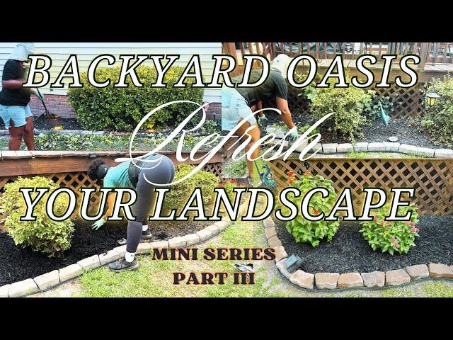 Summer Backyard Oasis|Landscape Refresh Around Deck|Part III Backyard Mini Series