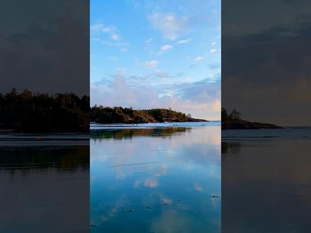 Tofino Beach - Serene Scenes