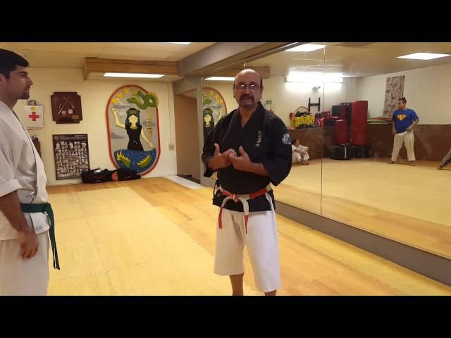 Isshinryu Seisan Kata bunkai  Javier Martinez