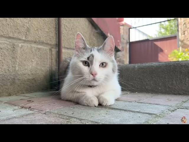 Я фанат А ну ка давай ка @anykadavaika