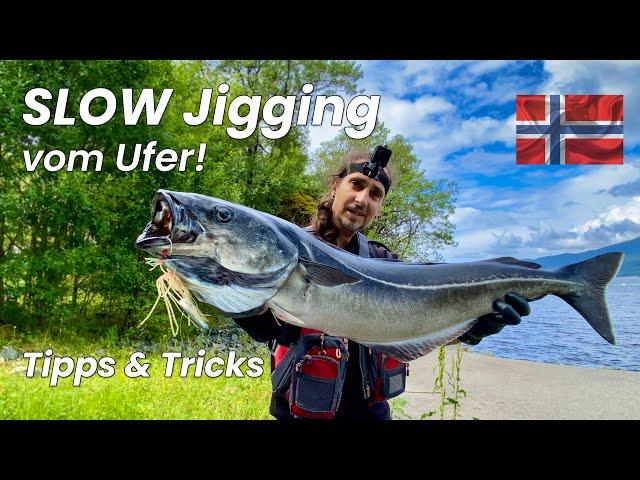 Irre! 1 Wurf = 3 Drill-Aussteiger / Slow Jigging Seelachse Tipps Tricks Norwegen