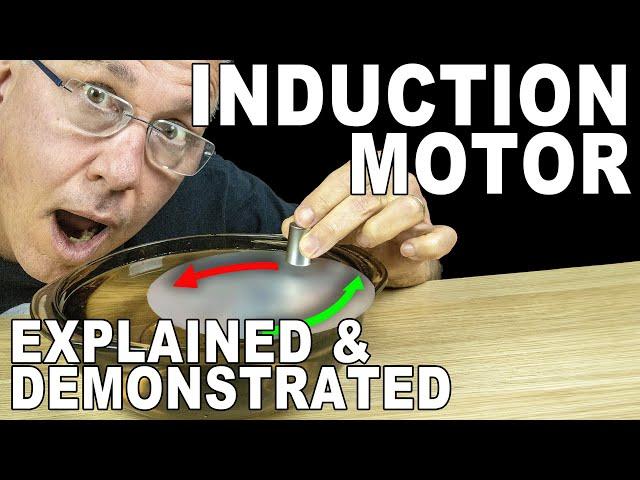 How to understand induction motors