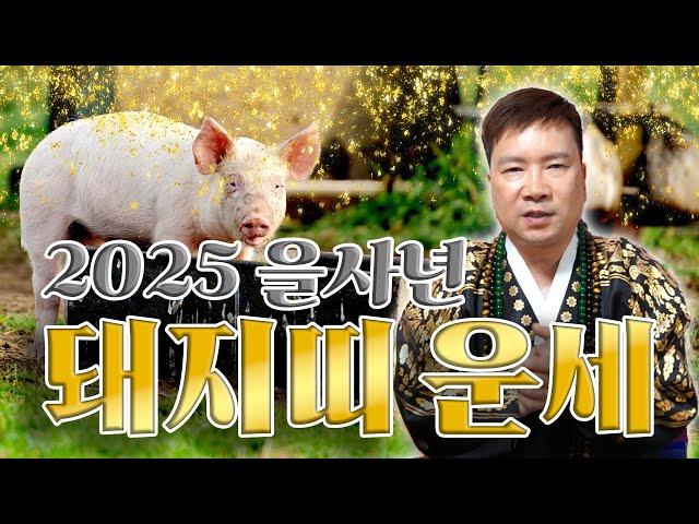 2025년 을사년 대박나는 ‘돼지띠 운세’ / 들어오는 삼재에 돼지띠들의 변화 #용한점집 #운세