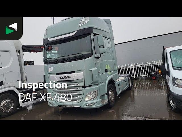 DAF XF 480 - 2019 - BAS World