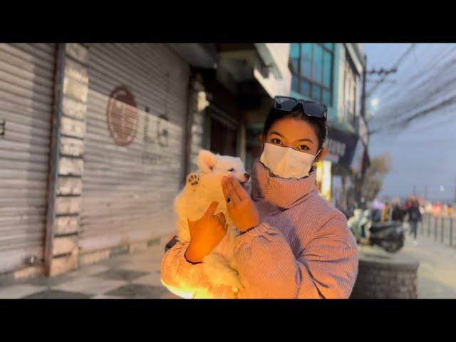 A day in my life  ||Sonam ghotame ||kaski noudada ko masu Nai mithoo || pokhara