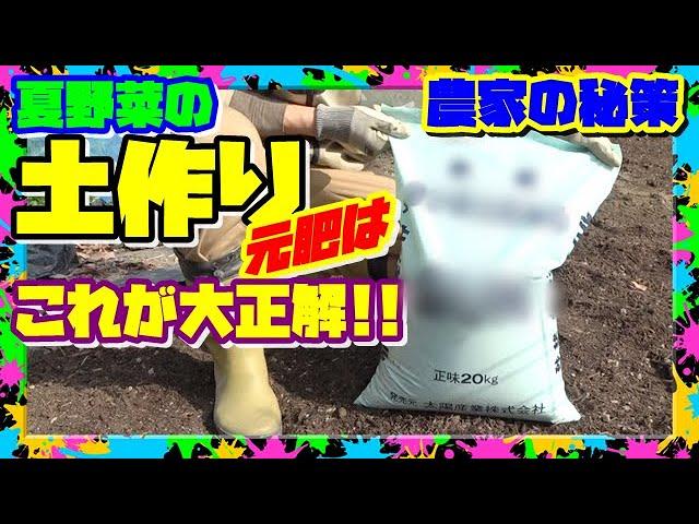 【肥料のお得な使い方】「元肥に追肥に」プロ農家の秘策  この激安肥料を徹底解説