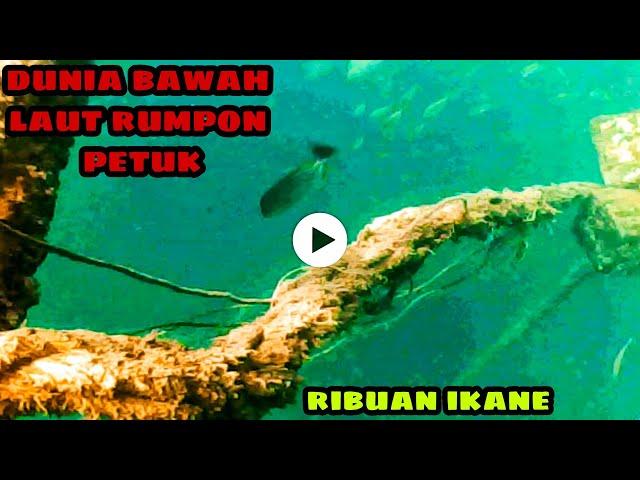 diselami!!rumpon petuk isinya ribuan ikan!!diving in the sea