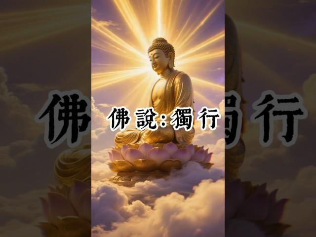 佛說：獨行