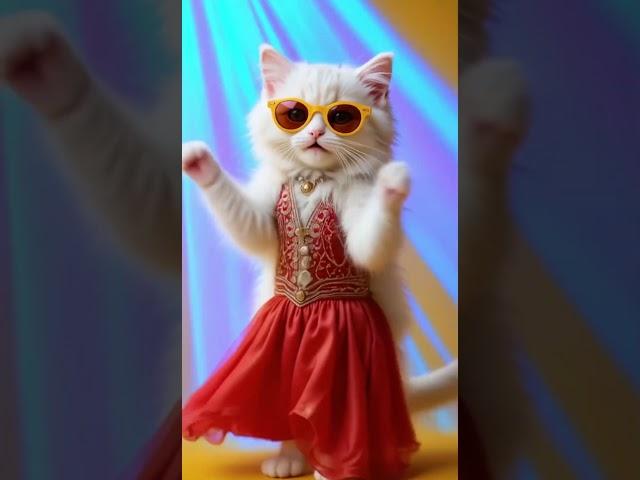 Funniest Dancing Cat Video | Watch Till the End! 