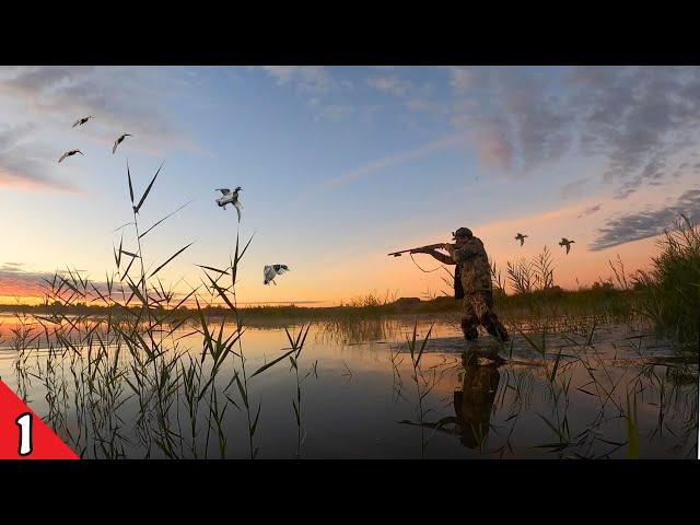 Awesome OPENING DAY Duck Hunt! | Mallards, Pintails and Teal in Close!