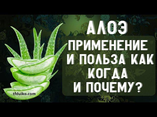 Алоэ: Применение и Польза  Как, Когда и Почему?