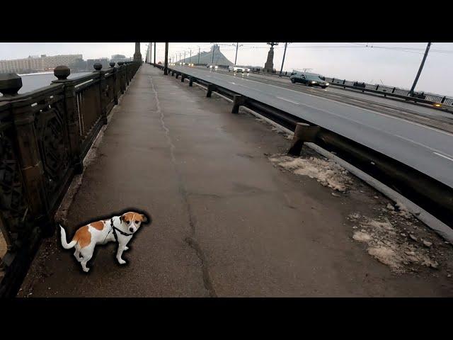 uamee - WALKING MY DOGGO [INSTRUMENTAL HARDBASS MIX]