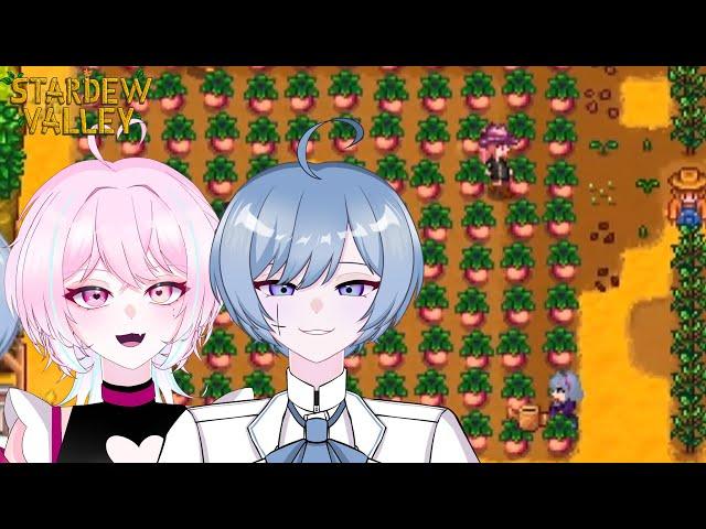 【스타듀밸리】 보라색 양상추를 전시합시다 【디오페레타/사미무해】