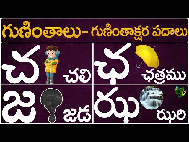 Guninthalu Guninthakshara Padalu |చ ఛ జ ఝ గుణింత పదాలు |Ca Cha Ja Jha Gunintha Padalu |Telugu Vanam