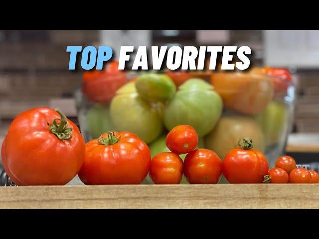 Top 5 Tomato Varieties That Will THRIVE in Your Florida Garden—You Have to See #5!