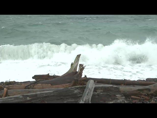 Power outages begin as winds pick up on Vancouver Island