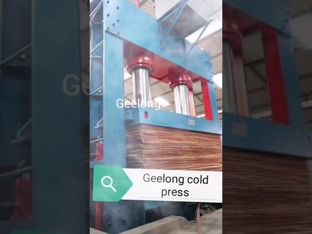 Geelong plywood cold press hot sale