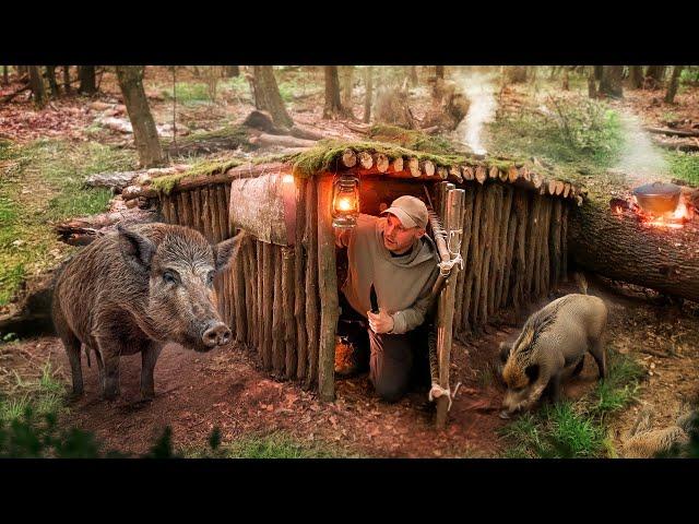 Building a secret survival shelter under the root of a fallen tree. Bushcraft. Survival. Outdoors