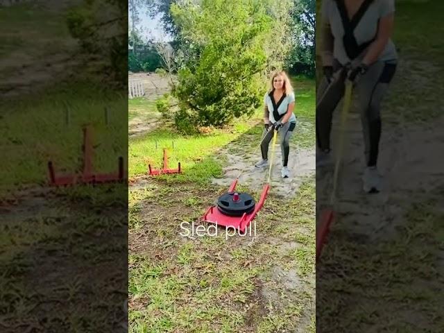 Sled pull