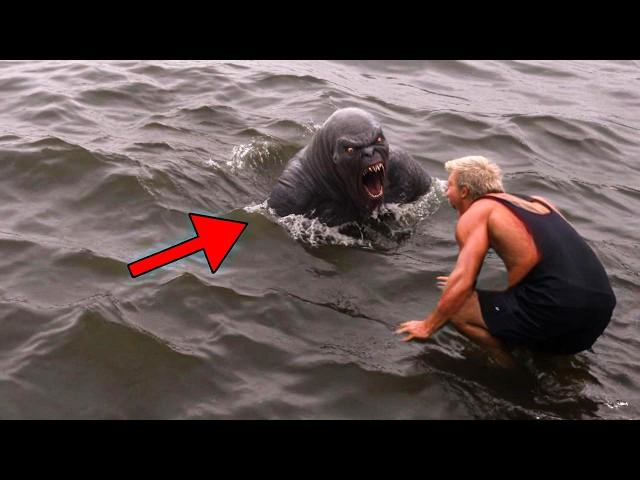 30 Strange Creatures That Were Caught on Camera.