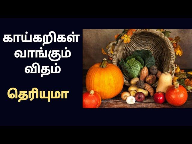 காய்கறிகளை எப்படி பார்த்து வாங்குவது/how to buy vegtables  @pengal ulagam videos