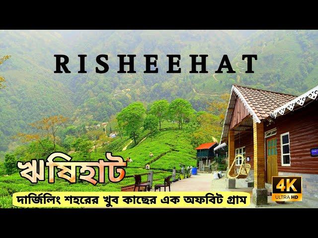 Risheehat ~ New Homestay || Darjeeling Offbeat Tour || ঋষিহাট || Travel Vlog #25 @thedreamzland