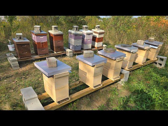 Winding Down The Season in our Kentwood Apiary