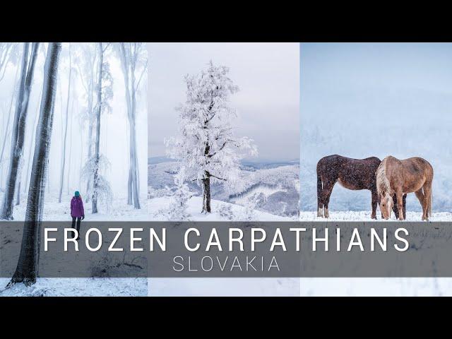 Frozen Carpathians, Malé Karpaty v zime | Winter cinematic video