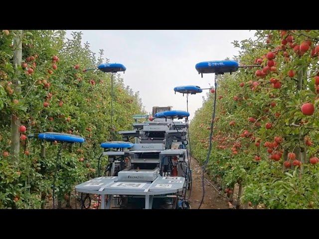 Israel enlists drones, AI and big data to farm for the future | AFP