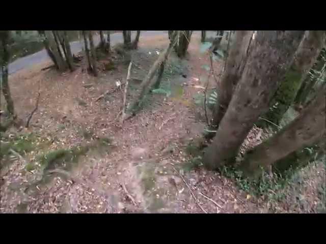 Sorie VTT dans l'Entre 2 Mers