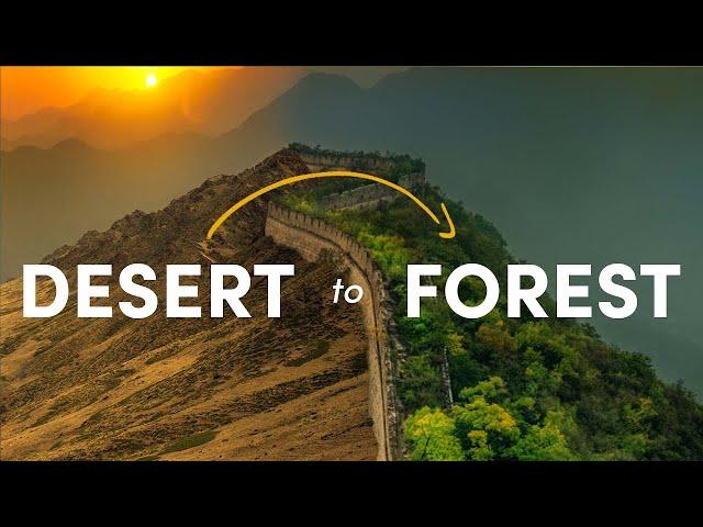 How China Turned the Desert Green - The Great Green Wall