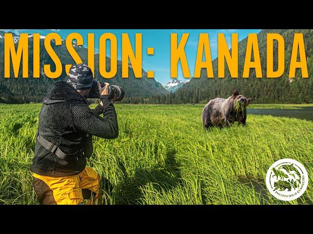 Wahnsinnig nahe Begegnung: Grizzlybären in Freiheit | Mission: Kanada