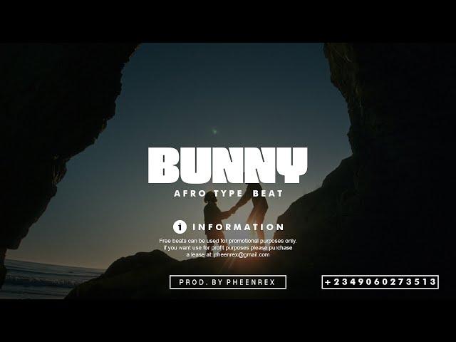 Afrobeat Instrumental 2024 " BUNNY " ( Mr. P x Winning x Afro pop Type Beat #Pheenrex)