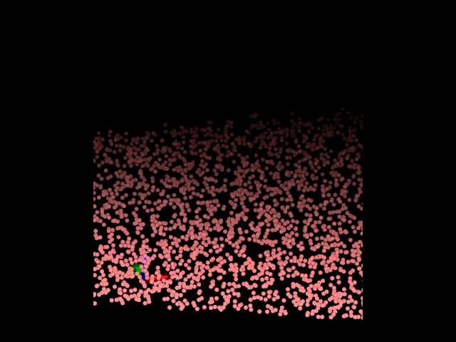 wet particle packing 2