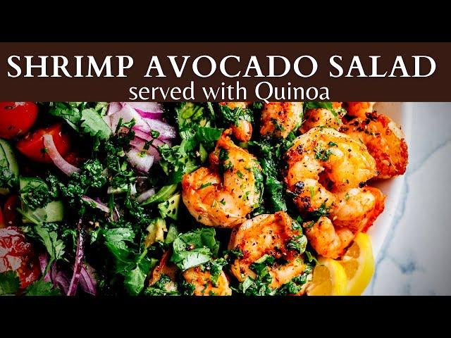 Shrimp Avocado Salad Recipe with Quinoa - Munchkin Time