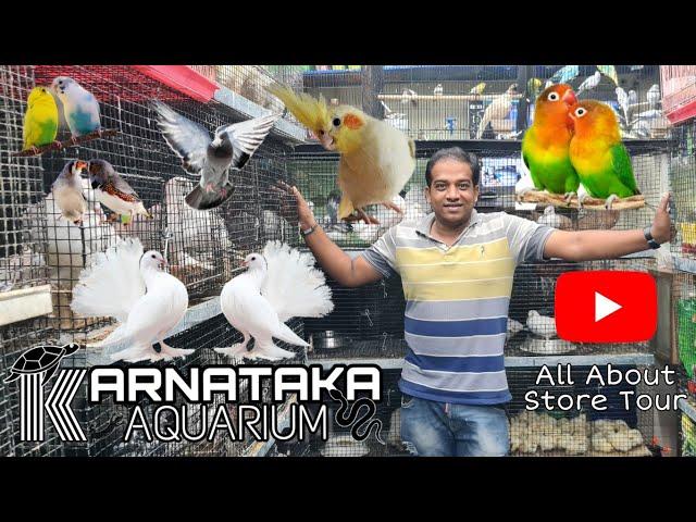 Karnataka Aquarium Store Tour | Bangalore Pigeon Market | All Types Of Birds, Rabbits, Guinea Pig