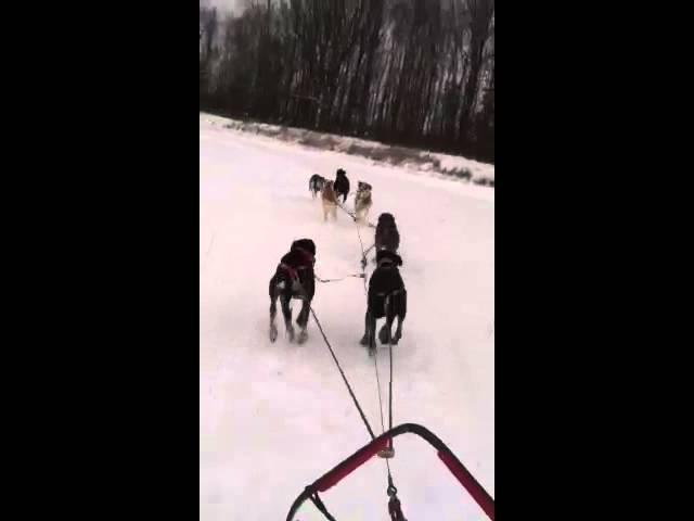 First sled run