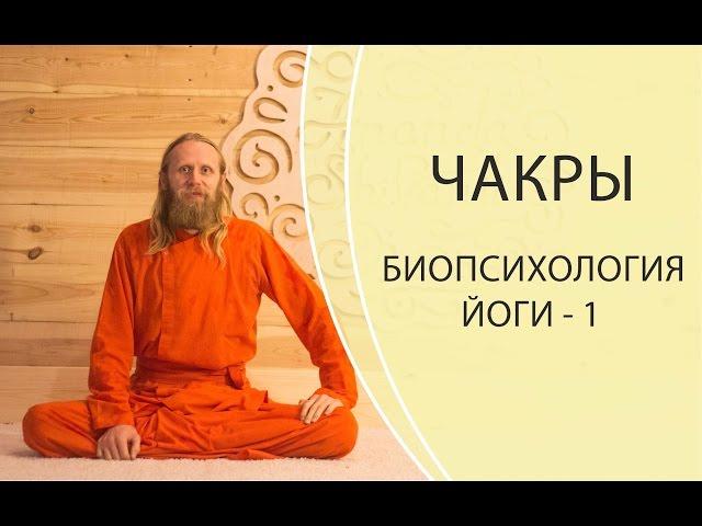 БИОПСИХОЛОГИЯ ЙОГИ - 1. ЧАКРЫ ЧЕЛОВЕКА И ИХ ЗНАЧЕНИЕ