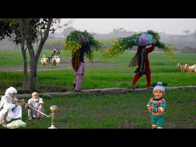 Most Beautiful Village Life in Punjab Pakistan||Daily Routine work in Village||Full Dasi Mahol
