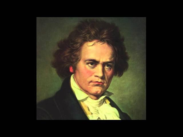 Beethoven - Symphony No. 5, 1st movement