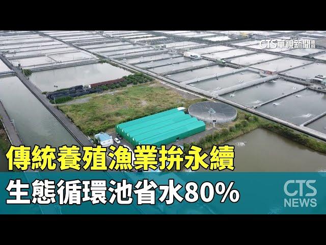 傳統養殖漁業拚永續　生態循環池省水80%｜企業永續ESG｜華視新聞 20230708