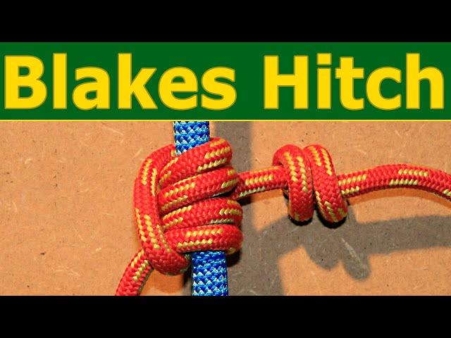 Blakes hitch knot - SRT climbing with the tree climbing classic