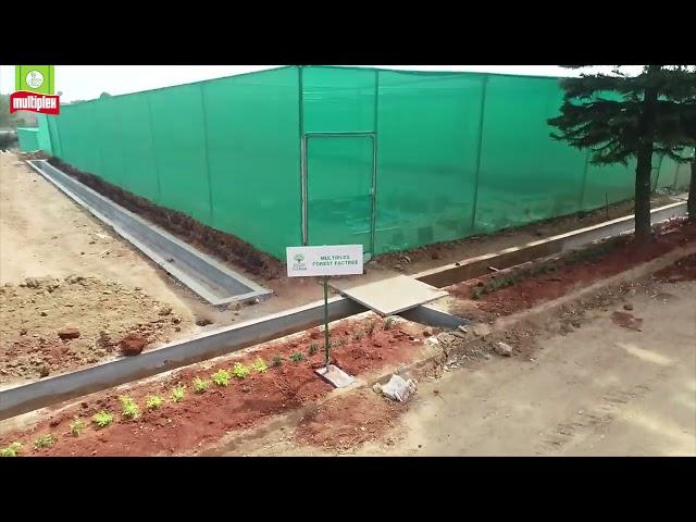 WORLD FOREST DAY I FOREST FACTORY I NEW INITIATIVE BY MULTIPLEX GROUP